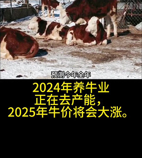 2025年活牛价格走势预测-2025年活牛市场价格趋势分析