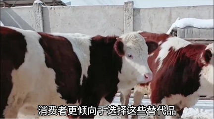 吉安市猪牛肉批发市场-吉安市大型猪牛肉批发交易中心